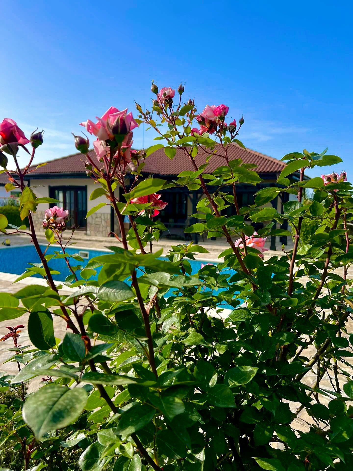 cazare bulgaria cu piscina