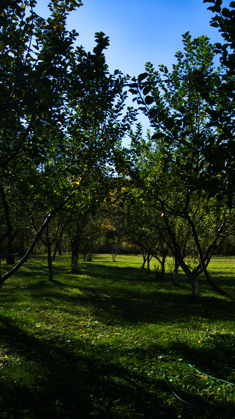 DSC04144_Wondershare